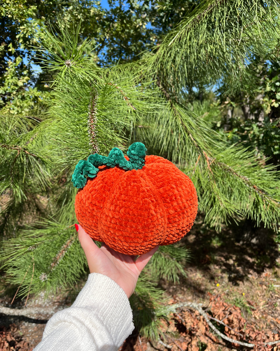 Pack Citrouille - Softy Chenille 🍂🎃
