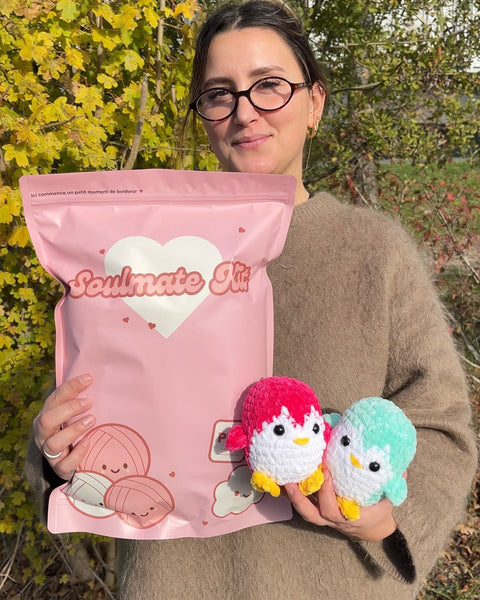 Kit crochet - Duo pingouin 🐧💗